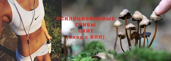 СК Балабаново
