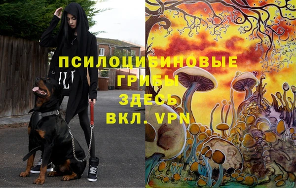 марки nbome Арсеньев