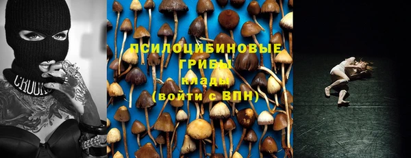 гидра Армянск