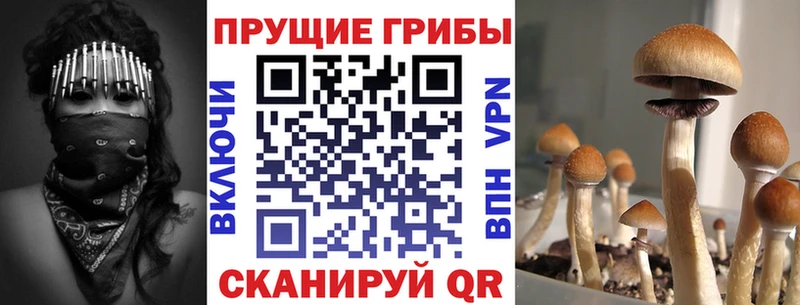 гидра   Балей  Галлюциногенные грибы Psilocybine cubensis  закладки 